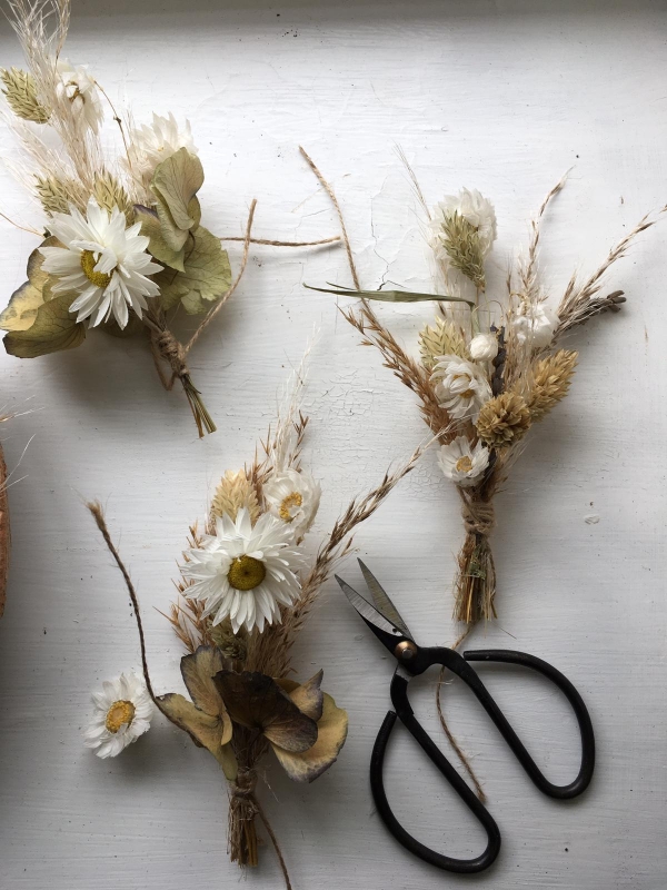 SET OF DRIED BUTTONHOLES