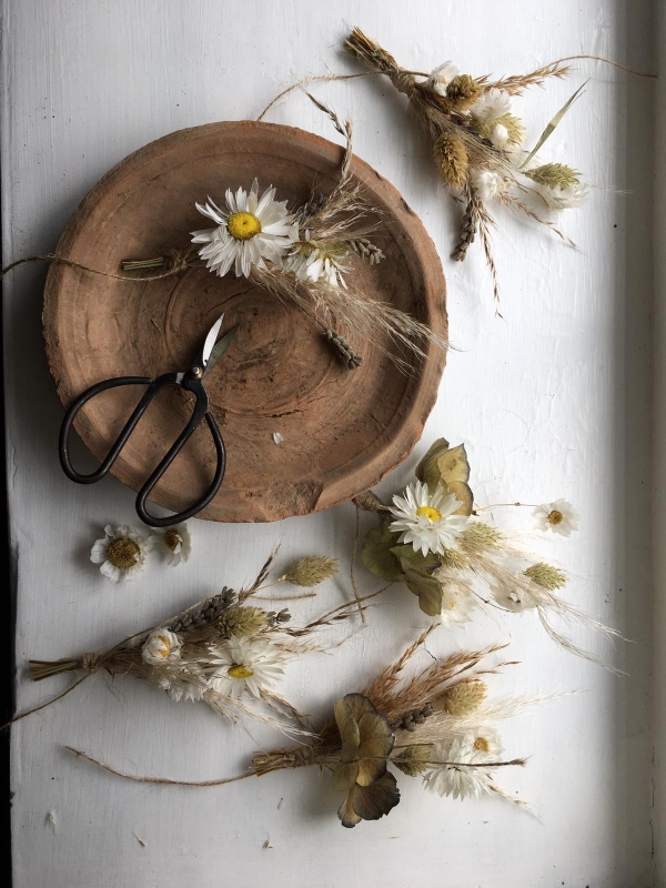 SET OF DRIED BUTTONHOLES