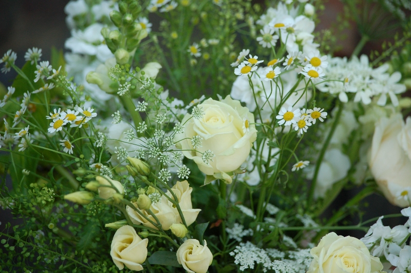 PURITY