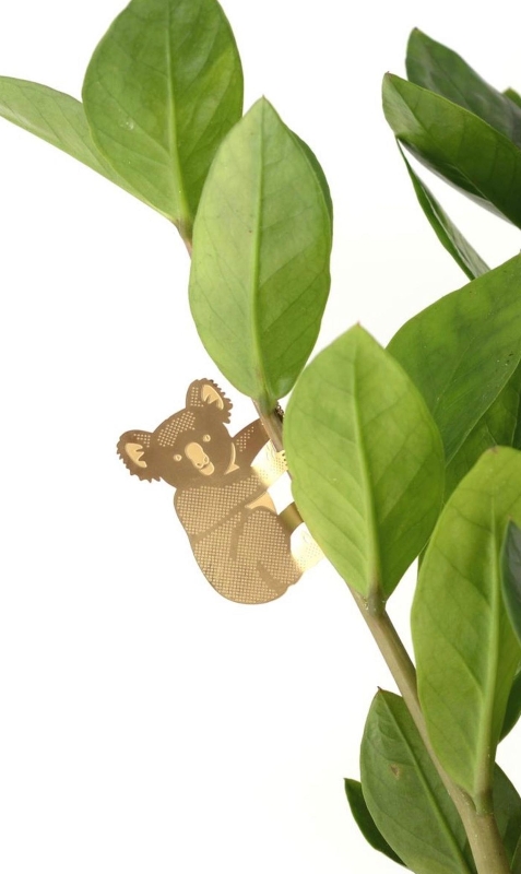 PLANT ANIMALS