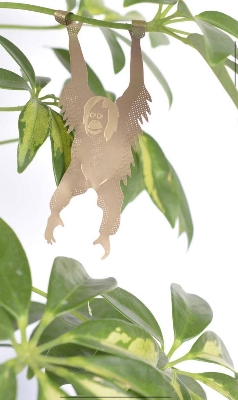 PLANT ANIMALS