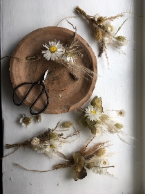 SET OF DRIED BUTTONHOLES