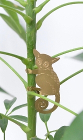PLANT ANIMALS