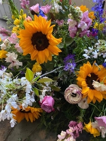 SUNFLOWER